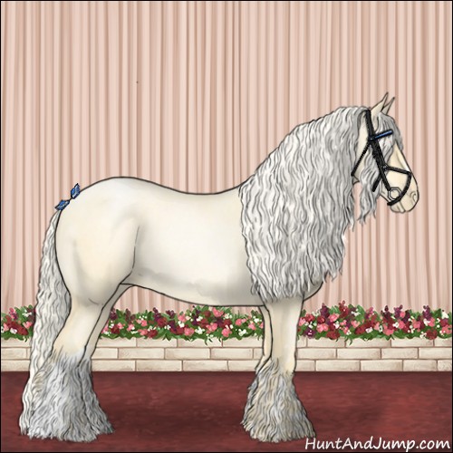 Horse Color:Palomino Roan Pearl  and Palomino Roan Pearl 
