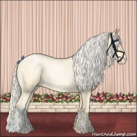Horse Color:Palomino Roan Pearl and Palomino Roan Pearl