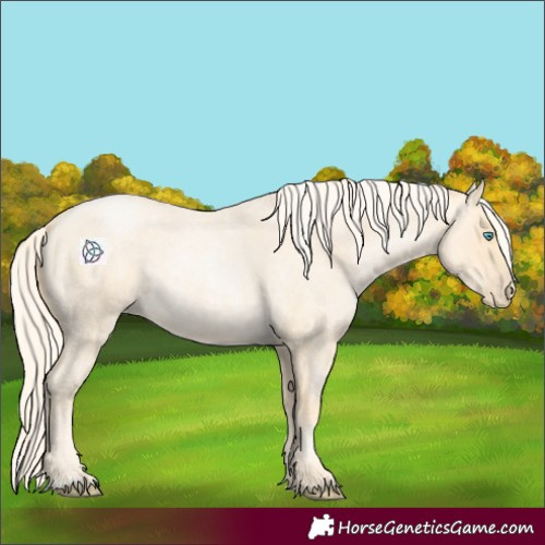 Horse Color:Palomino Roan Pearl  and Palomino Roan Pearl 