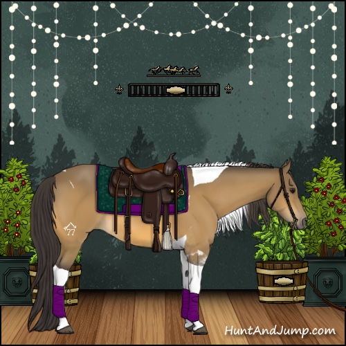 Horse Color:Buckskin Tobiano