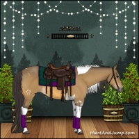 Horse Color:Buckskin Tobiano