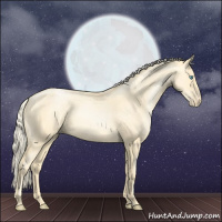 Horse Color:Palomino Roan Pearl and Palomino Roan Pearl