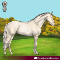 Horse Color:Palomino Roan Pearl and Palomino Roan Pearl