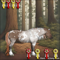 Horse Color:White Spotted Liver Red Dun Sabino 