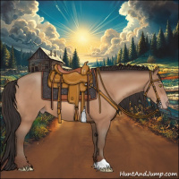 Horse Color:Sable Champagne 