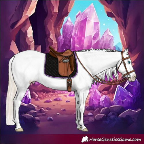 Horse Color:Perlino Sabino Appaloosa Rabicano 