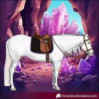 Horse Color:Perlino Sabino Appaloosa Rabicano