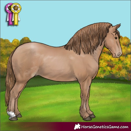 Horse Color:Black Pearl 