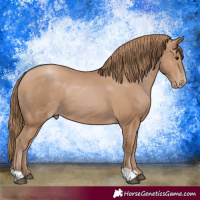 Horse Color:Black Pearl