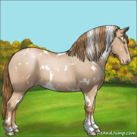 Horse Color:White Spotted Chestnut Pearl
