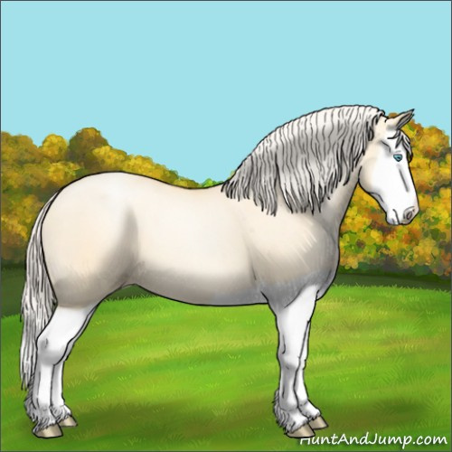 Horse Color:Silver Amber Champagne Pearl Dun Splash 