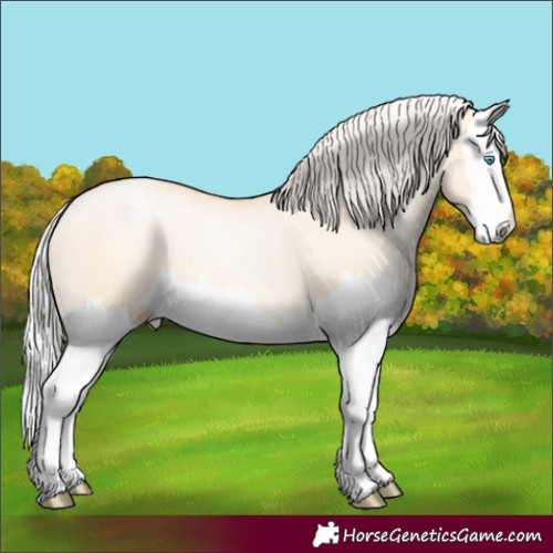Horse Color:Silver Amber Champagne Pearl Dun Splash 