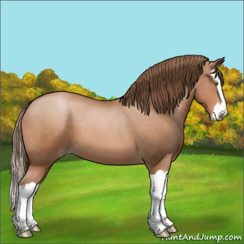 Horse Color:Brown Pearl Splash 