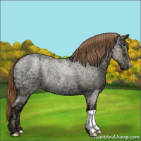 Horse Color:Bay Ice Roan Pearl Dun 