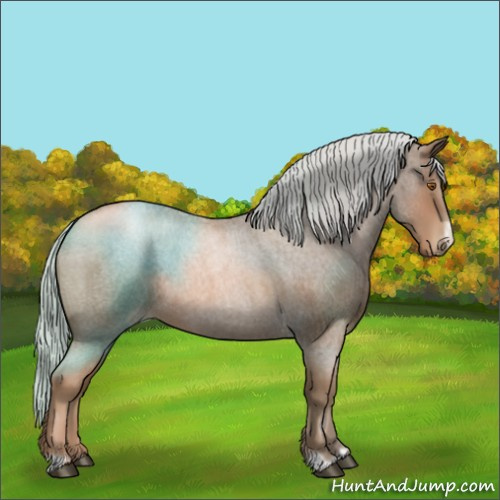 Horse Color:Silver Blue Roan Pearl Frame