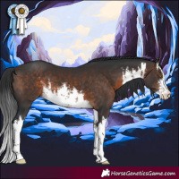 Horse Color:White Spotted Brown 