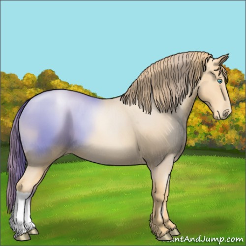 Horse Color:Gold Champagne Pearl