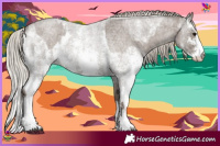 Horse Color:Silver Blue Roan Sabino  and Silver Blue Roan Sabino 