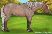 Horse Color:Silver Bay Roan