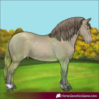 Horse Color:Bay Pearl 