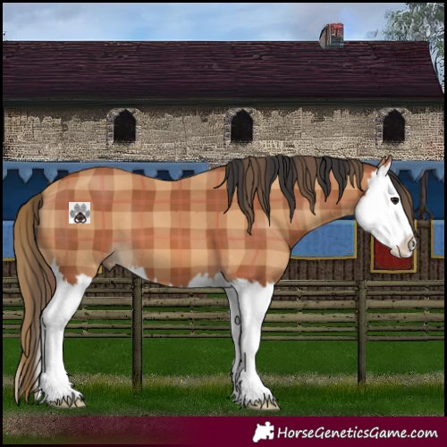 Horse Color:Plaid Bay Splash