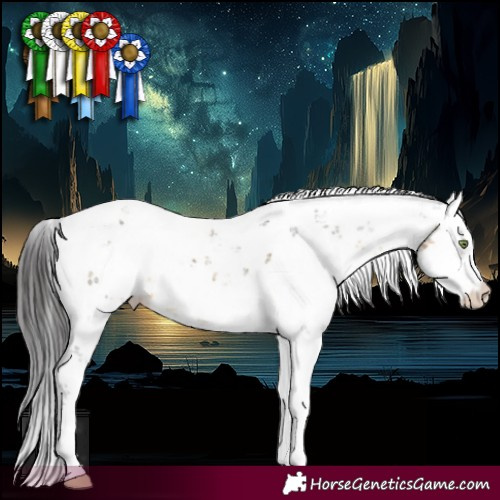 Horse Color:Buckskin Sabino