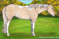 Horse Color:Silver Sable Champagne Dun Tobiano Rabicano 