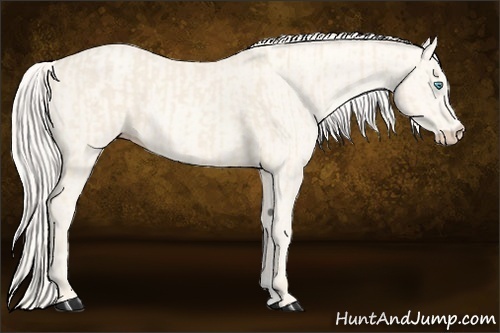 Horse Color:Cremello  and Cremello 