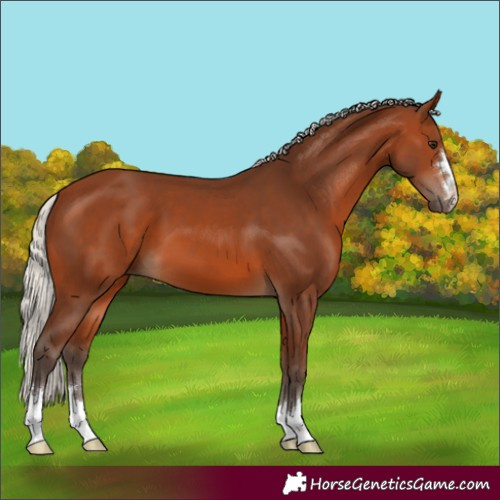 Horse Color:Silver Brown 