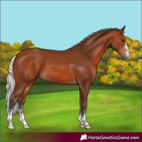 Horse Color:Silver Brown 