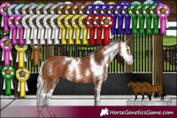 Horse Color:Silver Bay Sabino Rabicano