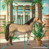 Horse Color:Buckskin Dun Tobiano