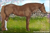 Horse Color:Chestnut  and Chestnut 