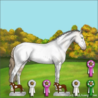 Horse Color:Smoky Black Pearl Sabino Tobiano Frame Rabicano 