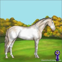Horse Color:Chocolate Palomino Pearl Dun Sabino Frame 