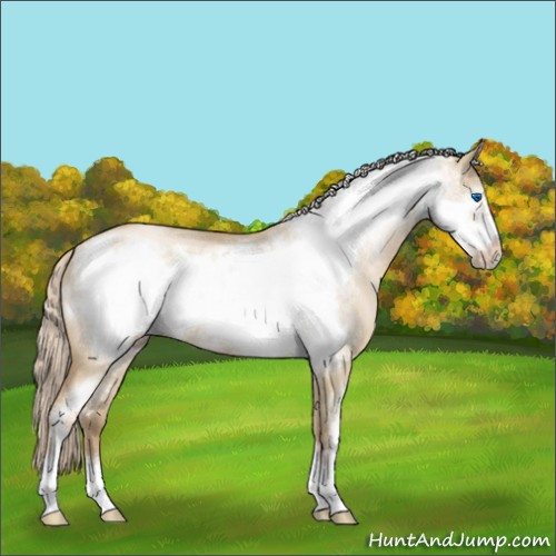Horse Color:Chocolate Palomino Pearl Dun Sabino Frame 