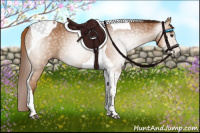 Horse Color:Gray Chestnut Tobiano