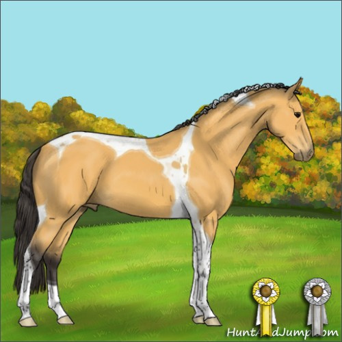 Horse Color:Buckskin Tobiano 
