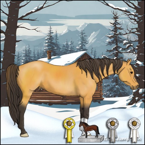 Horse Color:Buckskin 