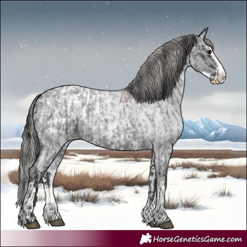 Horse Color:Blue Roan Sabino Splash  and Blue Roan Sabino Splash Blanket 