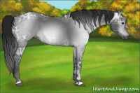 Horse Color:Gray Black Ice 