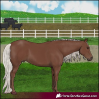 Horse Color:Silver Black