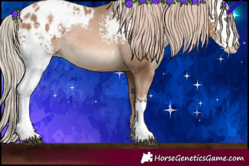 Horse Color:White Spotted Liver Chestnut Pearl Sabino Blanket