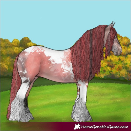 Horse Color:Painted Buckskin Tobiano 