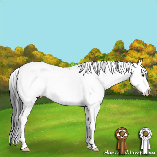 Horse Color:Brown Dun Sabino 