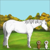 Horse Color:Brown Dun Sabino
