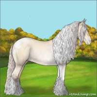 Horse Color:Silver Sable Cream Champagne Pearl Tobiano Rabicano 