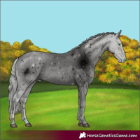 Horse Color:ERROR: UNKNOWN ANOMALY