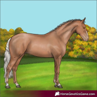 Horse Color:Silver Black Pearl 