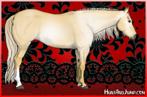 Horse Color:Gray Palomino Dun Tobiano 